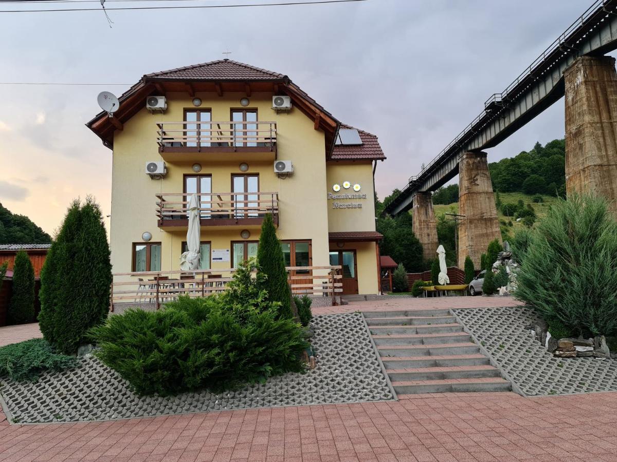 Pensiunea Narcisa Romuli Exterior foto
