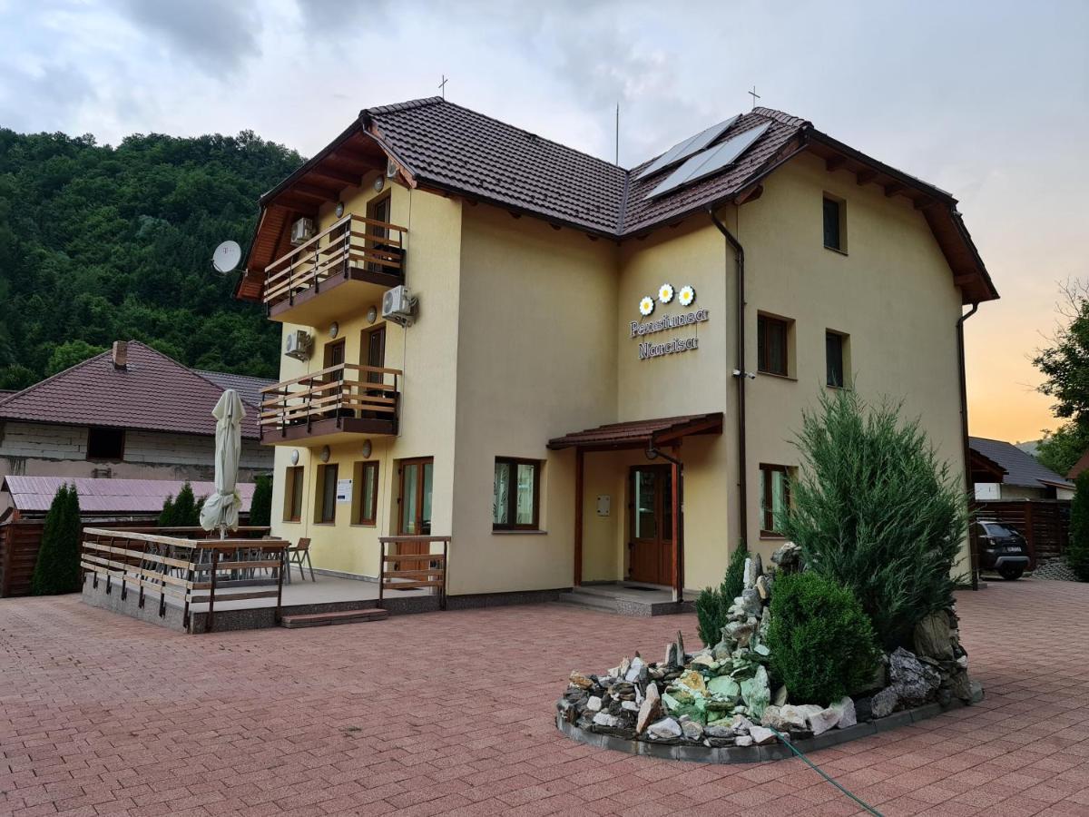 Pensiunea Narcisa Romuli Exterior foto